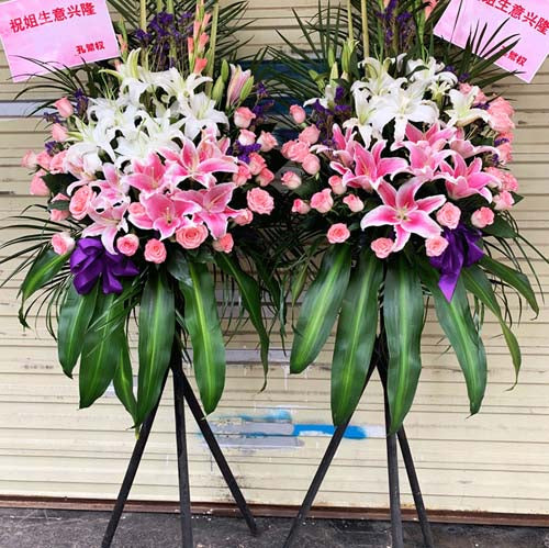 Colour of Spring