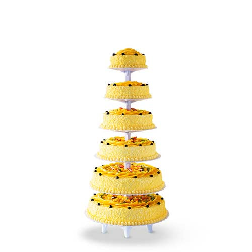 Super large celebration cake
