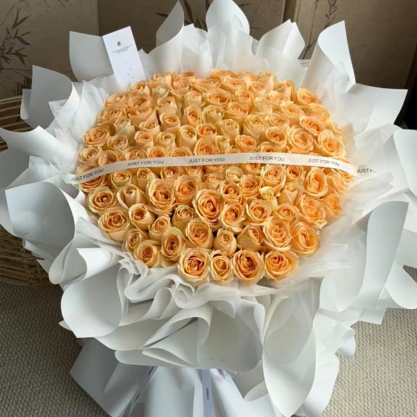 Best Love 99 champagne roses