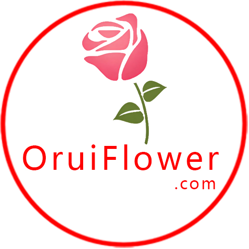 OruiFlower