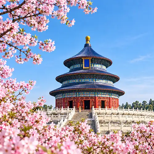 Flower delivery to Beijing, China